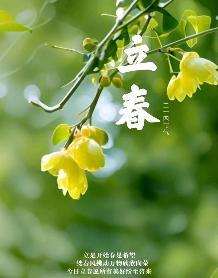 �������ڠN�Ƽ����ǻۿ��B���³�